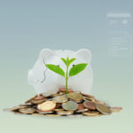 Финансовое восстановление: возможности кредитования после завершения процедуры банкротства